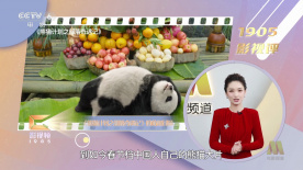 亚洲一区二区三区成人在线视频精品